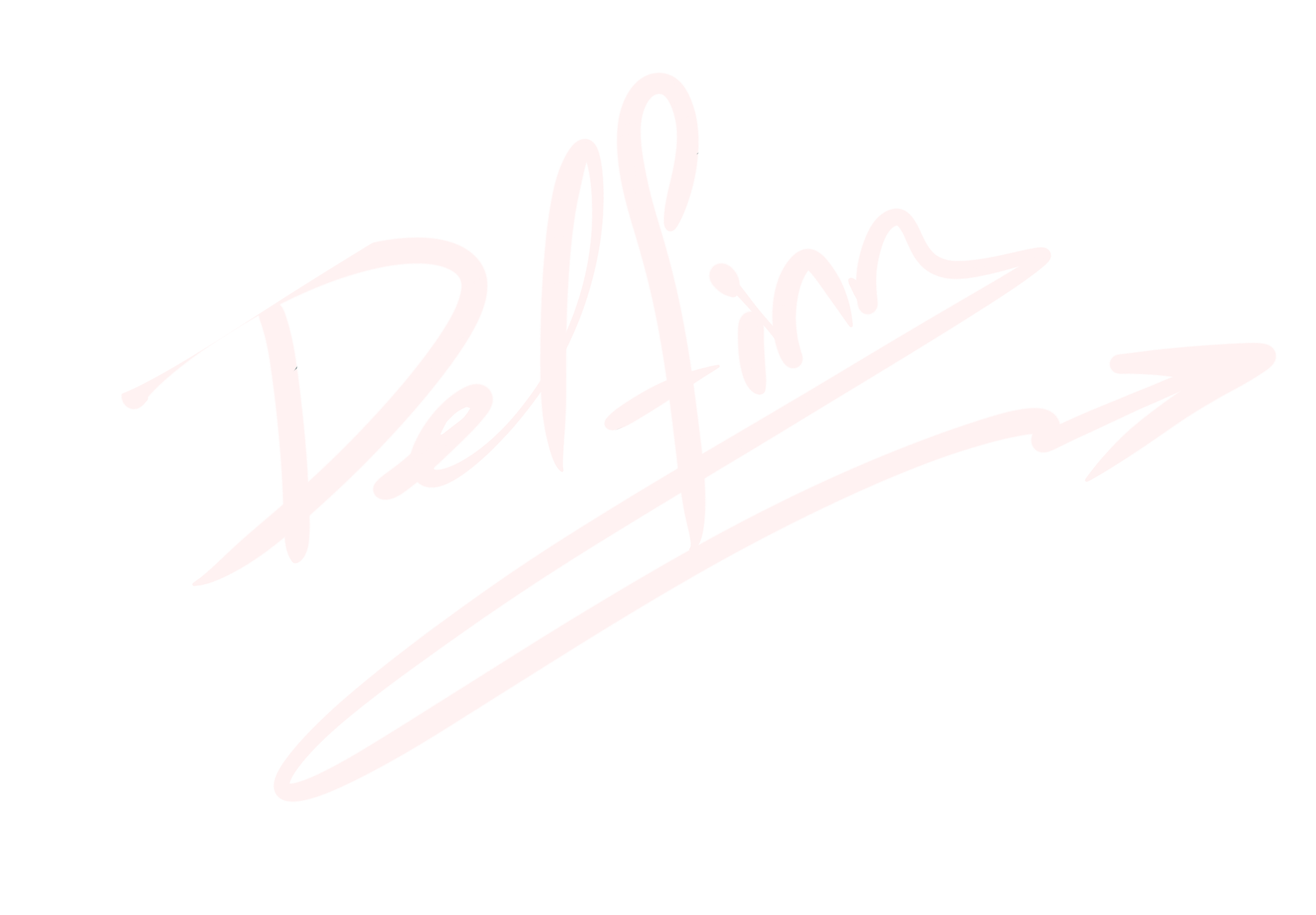 Delfinn Art